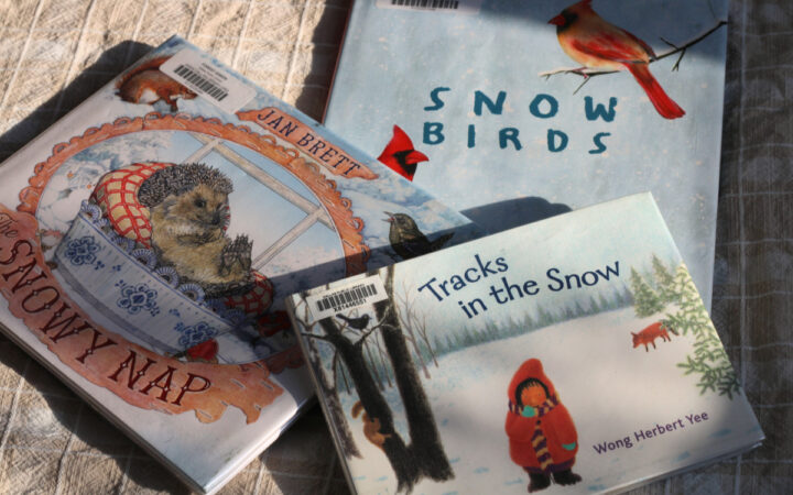 three winter picture books in the sunlight