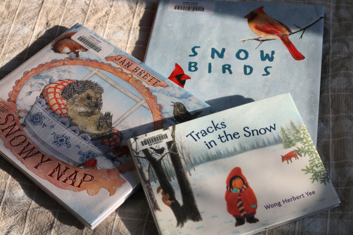 three winter picture books in the sunlight
